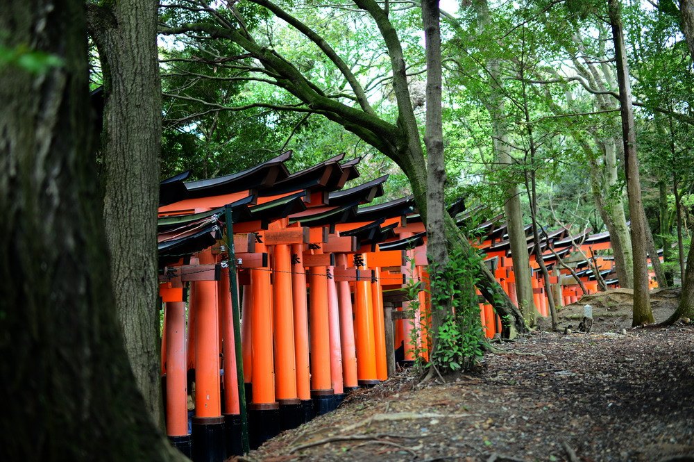伏见稻荷千本鸟居